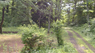 長野県菅平高原 ゆたか山荘 坂上 2026/06/28 08:30