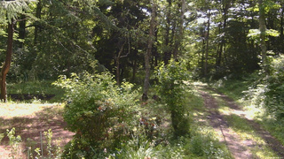 長野県菅平高原 ゆたか山荘 坂上 2026/06/28 08:45