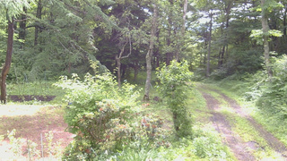 長野県菅平高原 ゆたか山荘 坂上 2026/06/28 09:00