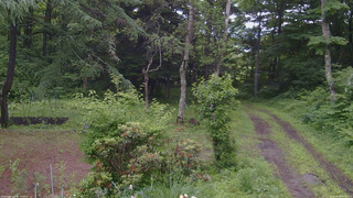 長野県菅平高原 ゆたか山荘 坂上 2026/06/28 09:15
