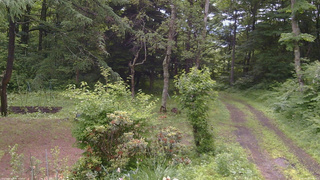 長野県菅平高原 ゆたか山荘 坂上 2026/06/28 09:30