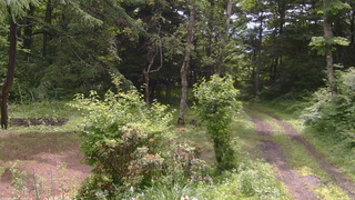 長野県菅平高原 ゆたか山荘 坂上 2026/06/28 09:45