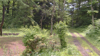 長野県菅平高原 ゆたか山荘 坂上 2026/06/28 10:00