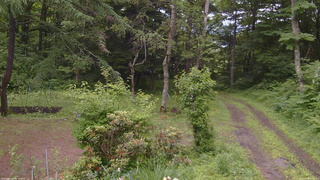 長野県菅平高原 ゆたか山荘 坂上 2026/06/28 10:15