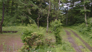 長野県菅平高原 ゆたか山荘 坂上 2026/06/28 11:30