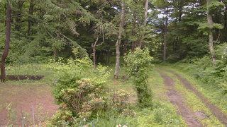 長野県菅平高原 ゆたか山荘 坂上 2026/06/28 12:00