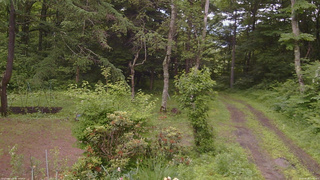 長野県菅平高原 ゆたか山荘 坂上 2026/06/28 12:15