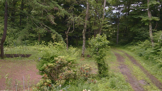 長野県菅平高原 ゆたか山荘 坂上 2026/06/28 12:30