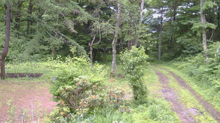 長野県菅平高原 ゆたか山荘 坂上 2026/06/28 13:00