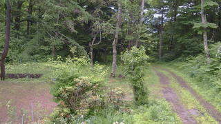 長野県菅平高原 ゆたか山荘 坂上 2026/06/28 13:15