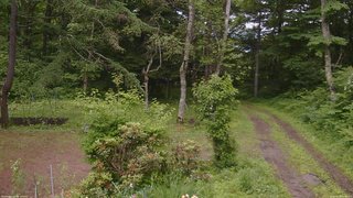 長野県菅平高原 ゆたか山荘 坂上 2026/06/28 14:30