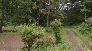 長野県菅平高原 ゆたか山荘 坂上 2026/06/28 14:45
