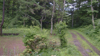 長野県菅平高原 ゆたか山荘 坂上 2026/06/28 16:00