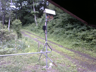 長野県菅平高原 ゆたか山荘 南側 2026/06/29 12:00