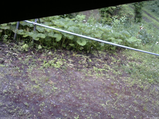 長野県菅平高原 ゆたか山荘 駐車場 2026/06/29 05:45