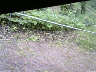 長野県菅平高原 ゆたか山荘 駐車場 2026/06/29 08:30