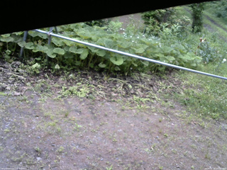 長野県菅平高原 ゆたか山荘 駐車場 2026/06/29 09:00