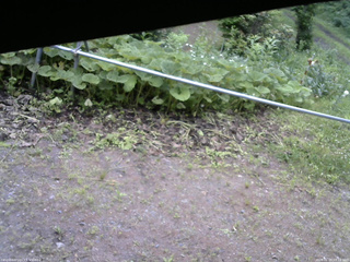 長野県菅平高原 ゆたか山荘 駐車場 2026/06/29 09:15