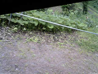 長野県菅平高原 ゆたか山荘 駐車場 2026/06/29 09:30