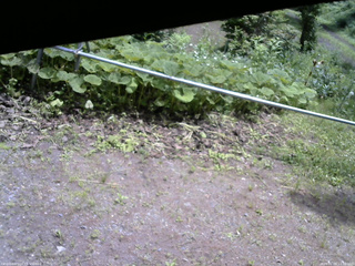 長野県菅平高原 ゆたか山荘 駐車場 2026/06/29 11:30