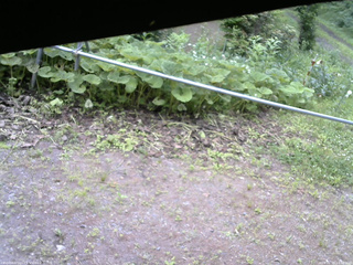長野県菅平高原 ゆたか山荘 駐車場 2026/06/29 14:00