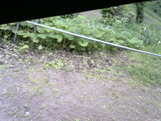 長野県菅平高原 ゆたか山荘 駐車場 2026/06/29 14:30