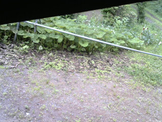 長野県菅平高原 ゆたか山荘 駐車場 2026/06/29 15:00