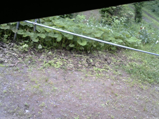 長野県菅平高原 ゆたか山荘 駐車場 2026/06/29 15:15