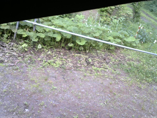長野県菅平高原 ゆたか山荘 駐車場 2026/06/29 17:15