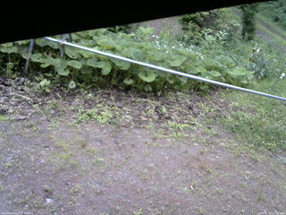 長野県菅平高原 ゆたか山荘 駐車場 2026/06/29 17:30