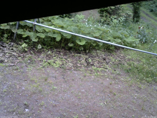 長野県菅平高原 ゆたか山荘 駐車場 2026/06/29 18:00