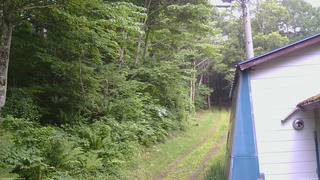 長野県菅平高原 ゆたか山荘 ゆたか山荘 2026/06/29 15:15
