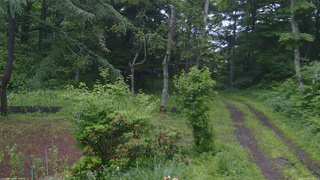 長野県菅平高原 ゆたか山荘 坂上 2026/06/29 05:00