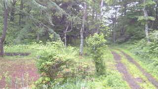 長野県菅平高原 ゆたか山荘 坂上 2026/06/29 05:30