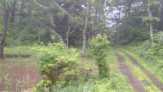 長野県菅平高原 ゆたか山荘 坂上 2026/06/29 06:00
