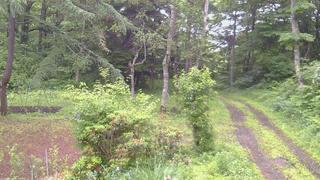 長野県菅平高原 ゆたか山荘 坂上 2026/06/29 06:15