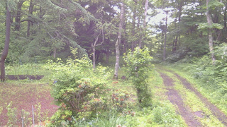 長野県菅平高原 ゆたか山荘 坂上 2026/06/29 07:00