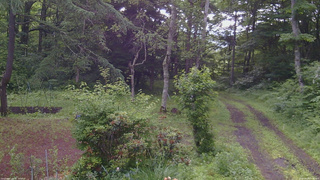 長野県菅平高原 ゆたか山荘 坂上 2026/06/29 07:30