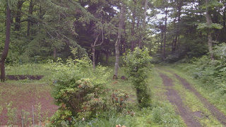長野県菅平高原 ゆたか山荘 坂上 2026/06/29 07:45