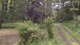 長野県菅平高原 ゆたか山荘 坂上 2026/06/29 08:15