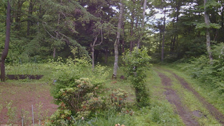 長野県菅平高原 ゆたか山荘 坂上 2026/06/29 08:30