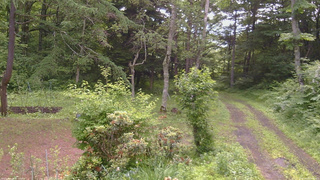 長野県菅平高原 ゆたか山荘 坂上 2026/06/29 08:45
