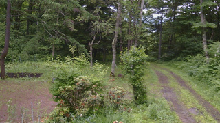 長野県菅平高原 ゆたか山荘 坂上 2026/06/29 09:30