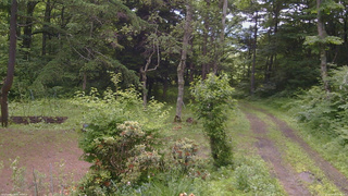長野県菅平高原 ゆたか山荘 坂上 2026/06/29 10:30
