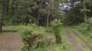 長野県菅平高原 ゆたか山荘 坂上 2026/06/29 10:45