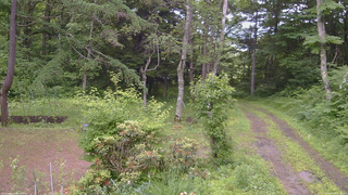 長野県菅平高原 ゆたか山荘 坂上 2026/06/29 11:15