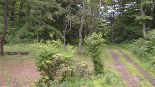 長野県菅平高原 ゆたか山荘 坂上 2026/06/29 11:45