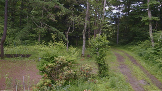 長野県菅平高原 ゆたか山荘 坂上 2026/06/29 12:00