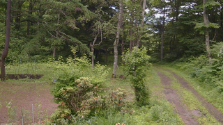 長野県菅平高原 ゆたか山荘 坂上 2026/06/29 12:15