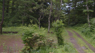 長野県菅平高原 ゆたか山荘 坂上 2026/06/29 14:00